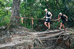 BIB: 
                            <button type="button" onclick="openModal(27805523)" class="btn btn-primary btn-sm float-right btn-popup" data-toggle="modal" data-target=".modal-high-quality">
                        <i class="fas fa-shopping-cart"></i> Add to Cart
                    </button>
                                            <button type="button" onclick="isThisMe(27805523, true)" class="btn btn-success btn-sm float-right btn-popup btn-isme hidden" data-toggle="tooltip" data-placement="bottom" title="นี่คือรูปของคุณใช่ไหม คลิกที่นี่เพื่อเอาเข้าอัลบั้ม">
                        <i class="fas fa-plus"></i> Add to album
                    </button>
                    <button type="button" onclick="isThisMe(27805523, false)" class="btn btn-warning btn-sm float-right btn-popup btn-isnotme hidden">
                        <i class="fas fa-ban"></i> Remove from album
                    </button>